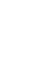 Mision